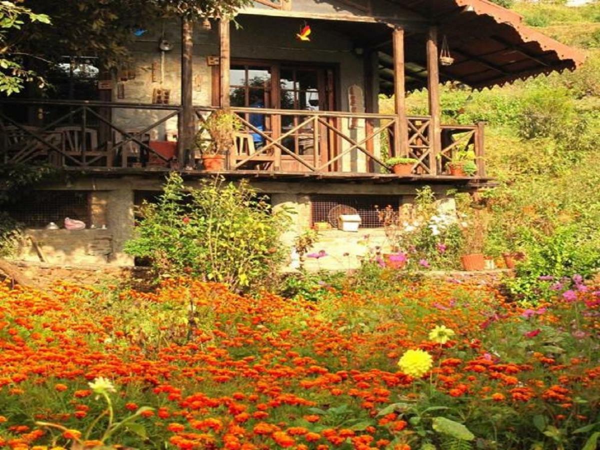 Jungle Lore Birding Lodge Nainital Exterior photo